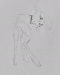 Size: 1223x1529 | Tagged: safe, artist:joestick, community related, character:pom lamb, species:sheep, them's fightin' herds, cute, female, lamb, pencil drawing, solo, traditional art