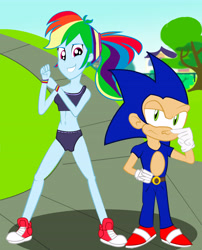 Size: 5131x6364 | Tagged: safe, artist:urhangrzerg, character:rainbow dash, character:sonic the hedgehog, species:human, my little pony:equestria girls, absurd resolution, converse, crossover, humanized, shoes, sneakers, sonic the hedgehog (series)