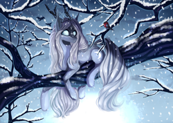 Size: 2660x1892 | Tagged: safe, artist:magicbalance, oc, species:bird, species:earth pony, species:pony, beast, commission, female, forest, horn, mare, on tree, snow, snowfall, solo, tattoo, tree, tree branch, wild, winter