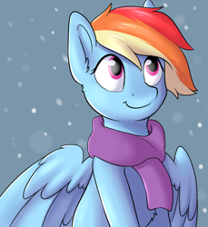 Size: 1024x1117 | Tagged: safe, artist:dbleki, character:rainbow dash, species:pegasus, species:pony, clothing, cute, female, looking up, mare, scarf, smiling, snow, solo