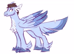 Size: 3400x2500 | Tagged: dead source, safe, artist:canisrettmajoris, oc, oc only, species:classical hippogriff, species:hippogriff, colored sketch, male, simple background, smiling, solo, white background
