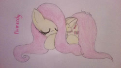 Size: 1024x575 | Tagged: safe, artist:envygirl95, character:fluttershy, species:pony, female, prone, sleeping, solo, traditional art