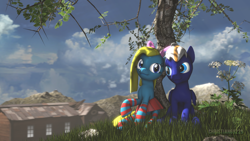 Size: 1920x1080 | Tagged: safe, artist:christian69229, oc, oc only, oc:cuteamena, oc:electric blue, species:earth pony, species:pegasus, species:pony, 3d, clothing, cute, electricute, flower, looking at each other, rock, sitting, skirt, socks, source filmmaker, striped socks, tree