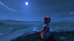 Size: 1920x1080 | Tagged: safe, artist:quvr, character:rainbow dash, species:pegasus, species:pony, 360, cloud, face not visible, facing away, female, floppy ears, folded wings, full moon, grass, looking away, mare, moon, night, night sky, rear view, river, scenery, scenery porn, sky, solo, standing, starry night, wings