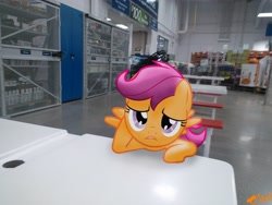 Size: 3264x2448 | Tagged: safe, artist:ojhat, character:scootaloo, species:pegasus, species:pony, bored, irl, photo, ponies in real life, sam's club, solo, table, vector