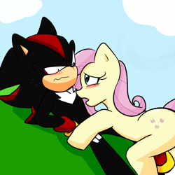 Size: 2000x2000 | Tagged: safe, artist:soul-yagami64, character:fluttershy, crossover, shadow the hedgehog, sonic the hedgehog (series)