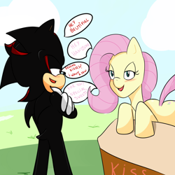 Size: 2000x2000 | Tagged: safe, artist:soul-yagami64, character:fluttershy, crossover, shadow the hedgehog, sonic the hedgehog (series)
