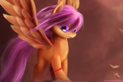 Size: 1920x1280 | Tagged: safe, artist:ajvl, character:scootaloo, species:pegasus, species:pony, alternate hairstyle, big wings, female, filly, solo, windswept mane
