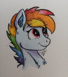 Size: 1918x2192 | Tagged: safe, artist:lightisanasshole, character:rainbow dash, species:pegasus, species:pony, :t, alternate hairstyle, bust, ear fluff, female, fluffy, neck fluff, painting, rainbow, red eyes, smiling, smirk, solo, traditional art, watercolor painting