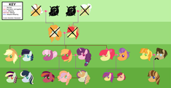 Size: 5045x2613 | Tagged: safe, artist:hazardous-andy, artist:kindheart525, character:apple bloom, character:applejack, character:big mcintosh, character:braeburn, character:bright mac, character:cheerilee, character:coloratura, character:grand pear, character:granny smith, character:pear butter, character:sheriff silverstar, character:sugar belle, character:tender taps, oc, oc:acapella apple, oc:allegro jazz, oc:discovery, oc:honeycrisp, oc:pippin rose, oc:pristine melody, oc:somerset sour cider, oc:spittoon spur, parent:apple bloom, parent:applejack, parent:big macintosh, parent:braeburn, parent:cheerilee, parent:coloratura, parent:sheriff silverstar, parent:sugar belle, parent:tender taps, parents:cheerimac, parents:rarajack, parents:silverburn, parents:sugarmac, parents:tenderbloom, species:pony, kindverse, ship:brightbutter, ship:rarajack, ship:sugarmac, ship:tenderbloom, alternate hairstyle, family tree, female, lesbian, magical gay spawn, magical lesbian spawn, male, offspring, older, shipping, silverburn, straight