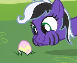 Size: 816x665 | Tagged: safe, artist:lightning stripe, derpibooru original, edit, oc, oc only, oc:lightning stripe, species:earth pony, species:pony, black and white mane, easter, easter egg, egg, eyelashes, grass, grass field, green eyes, holiday, makeup, puffy cheeks, scrunchy face, show accurate, simple background, solo, stripes
