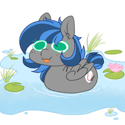 Size: 768x768 | Tagged: safe, artist:littlebibbo, derpibooru original, oc, oc:bibbo, species:pegasus, species:pony, behaving like a bird, female, freckles, mare, pegaduck, swimming, tongue out, water, water lily, wings