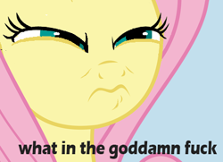 Size: 427x309 | Tagged: safe, artist:torpy-ponius, character:fluttershy, caption, image macro, meme, reaction image, spider-man, squint, text, vector, vulgar, wince