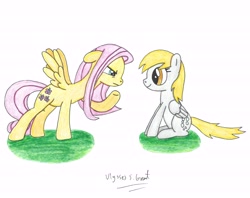 Size: 5799x4597 | Tagged: safe, artist:ulyssesgrant, character:derpy hooves, character:fluttershy, species:pegasus, species:pony, absurd resolution, female, mare