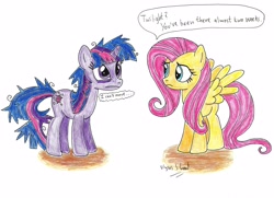 Size: 3477x2520 | Tagged: safe, artist:ulyssesgrant, character:fluttershy, character:twilight sparkle