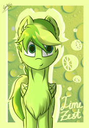 Size: 700x1000 | Tagged: safe, artist:chebypattern, oc, oc:lime zest, species:pegasus, species:pony, green background, lime, male, simple background, smiling, solo, stallion