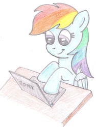 Size: 750x1000 | Tagged: safe, artist:m.w., character:rainbow dash, species:pegasus, species:pony, computer, female, laptop computer, mare, pony (sony), simple background, solo, white background