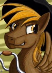 Size: 3508x4961 | Tagged: safe, artist:dinodraketakethecake, oc, oc only, oc:calamity, species:pegasus, species:pony, fallout equestria, absurd resolution, battle saddle, bust, clothing, cowboy hat, dashite, fanfic art, hat, male, portrait, smiling, smirk, solo, stallion, stetson, wings