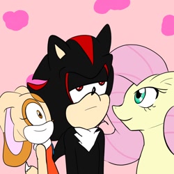 Size: 1024x1024 | Tagged: safe, artist:soul-yagami64, character:fluttershy, cream the rabbit, crossover, shadow the hedgehog, sonic the hedgehog (series)