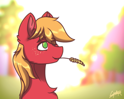 Size: 1360x1080 | Tagged: safe, artist:chebypattern, character:big mcintosh, species:earth pony, species:pony, bust, happy, male, simple background, smiling, soft color, solo, stallion, straw in mouth