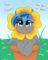 Size: 768x965 | Tagged: safe, artist:littlebibbo, oc, oc only, oc:bibbo, species:pegasus, species:pony, blue sky, blushing, clothing, costume, flower, flower pot, freckles, grass, looking at you, sparkly eyes, text, tongue out