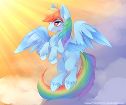 Size: 1280x1067 | Tagged: safe, artist:thenornonthego, character:rainbow dash, species:pegasus, species:pony, digital art, female, mare, smiling, solo