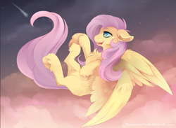 Size: 1200x880 | Tagged: safe, artist:thenornonthego, character:fluttershy, species:pegasus, species:pony, chest fluff, digital art, ear fluff, female, flying, mare, shooting star, smiling, solo