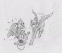 Size: 3003x2566 | Tagged: safe, artist:joestick, character:derpy hooves, character:gabby, species:griffon, species:pegasus, species:pony, female, monochrome