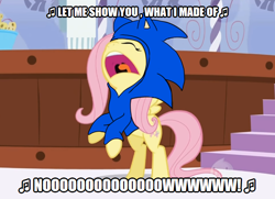 Size: 642x464 | Tagged: safe, artist:soul-yagami64, edit, edited screencap, screencap, character:fluttershy, character:sonic the hedgehog, species:pegasus, species:pony, episode:green isn't your color, g4, my little pony: friendship is magic, clothing, cosplay, costume, crossover, song reference, sonic heroes, sonic the hedgehog (series)