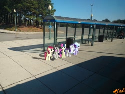 Size: 3264x2448 | Tagged: safe, artist:ojhat, character:bon bon, character:cloudchaser, character:octavia melody, character:rarity, character:roseluck, character:sweetie drops, bus stop, ponies in real life, trash can, tree