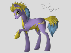 Size: 1400x1050 | Tagged: safe, artist:dreamyartcosplay, oc, oc only, oc:dust star, species:earth pony, species:pony, earth pony oc, raised hoof, simple background, solo