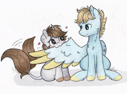 Size: 2416x1792 | Tagged: safe, artist:lightisanasshole, oc, oc:dorm pony, oc:wild waterfall, species:pegasus, species:pony, species:unicorn, :3, blonde hair, blonde mane, blue eyes, brown mane, cat face, chest fluff, colored hooves, colored wings, curved horn, duo, ear fluff, grooming, heart, heart eyes, hoof fluff, horn, love, messy mane, nom, pair, pegasus oc, pegasus wings, photo, preening, shadow, shipping, sitting, spread wings, wiggle, wing fluff, wingding eyes, wings