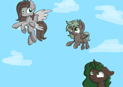 Size: 2275x1614 | Tagged: safe, artist:dumbwoofer, oc, oc:cloud cover, oc:forest air, oc:pine shine, species:pegasus, species:pony, species:unicorn, family, female, filly, fly, insect, learning, moms, sky, worried