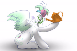 Size: 4500x3000 | Tagged: safe, artist:fiyawerks, oc, oc only, species:pegasus, species:pony, adorawat, cute, flower, high res, not salmon, original species, plant, plant pony, simple background, wat, water, watering can, weird, white background, wtf