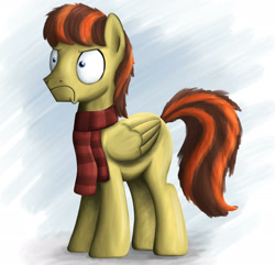Size: 2143x2062 | Tagged: safe, artist:piemations, oc, oc only, oc:pen, species:pegasus, species:pony, :c, clothing, frown, male, painterly, scarf, solo, stallion, striped scarf