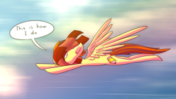 Size: 3265x1837 | Tagged: safe, artist:piemations, oc, oc only, oc:pen, species:pegasus, species:pony, clothing, dialogue, flying, scarf, solo, speech bubble, striped scarf, this will end in death, this will end in tears, this will end in tears and/or death