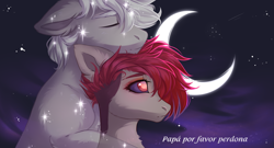 Size: 2949x1596 | Tagged: safe, artist:magicbalance, rcf community, oc, oc only, species:earth pony, species:pony, commission, eyes closed, ghost, hug, moon, sky, stars, translation request