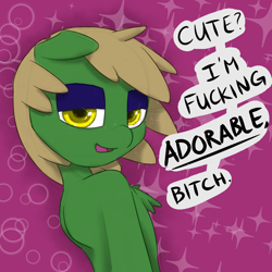 Size: 800x800 | Tagged: safe, artist:telsa, oc, oc only, oc:telsie, species:pony, chest fluff, dialogue, female, looking at you, mare, solo, talking to viewer, vulgar