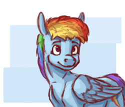 Size: 3500x3000 | Tagged: safe, artist:fynjy-87, character:rainbow dash, species:pegasus, species:pony, abstract background, cutie mark, female, smiling, solo, wings