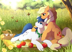 Size: 1600x1150 | Tagged: safe, artist:mr-tiaa, character:applejack, oc, oc:constance everheart, apple, bandana, basket, butterfly, canon x oc, clothing, commission, everjack, female, food, forest, hug, male, picnic, picnic basket, scarf, scenery, shipping, straight
