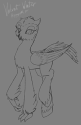 Size: 483x744 | Tagged: safe, artist:ravvij, oc, oc:velvet winter, species:bird, species:hippogriff, species:owl, species:pony, beak, bill, claws, cute, downey, feather, female, fluffy, hippogriff oc, hooves, mare, short ears, short feathers, short hair, sketch, snowy owl, solo, talons, wings