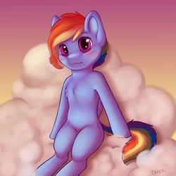 Size: 1024x1024 | Tagged: safe, artist:dbleki, character:rainbow dash, species:pegasus, species:pony, alternate hairstyle, blushing, cheek fluff, chest fluff, cloud, cute, dashabetes, ear fluff, female, looking at you, mare, on a cloud, redraw, sitting, sky, solo
