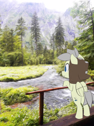 Size: 1432x1914 | Tagged: safe, artist:ikarooz, oc, oc only, species:pegasus, species:pony, newbie artist training grounds, atg 2020, fence, forest, male, solo, stallion, tree