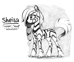 Size: 963x807 | Tagged: safe, artist:aureai, oc, oc only, oc:sheila (zebra), species:pony, species:zebra, black and white, ear fluff, female, grass, grayscale, happy, hooves, mare, monochrome, simple background, sketch, solo, standing, white background