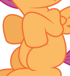 Size: 335x361 | Tagged: safe, artist:deadparrot22, edit, character:scootaloo, species:pegasus, species:pony, episode:sleepless in ponyville, g4, my little pony: friendship is magic, belly, cropped, female, pictures of bellies, simple background, sitting, solo, transparent background, vector, vector edit