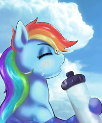 Size: 1000x1200 | Tagged: safe, artist:kunshomo, character:rainbow dash, species:pegasus, species:pony, g4, blushing, bust, cloud, eyes closed, female, mare, misleading thumbnail, open mouth, pixiv, profile, sky, solo, sweat, water bottle