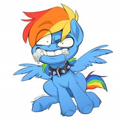 Size: 2048x2048 | Tagged: safe, artist:zazush-una, character:rainbow dash, species:pegasus, species:pony, g4, collar, female, foaming at the mouth, simple background, solo, white background