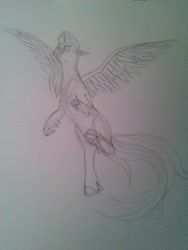 Size: 2448x3264 | Tagged: safe, artist:edhelistar, character:silverstream, species:hippogriff, g4, female, flying, frog (hoof), happy, missing accessory, simple background, sketch, solo, spread wings, traditional art, underhoof, white background, wings