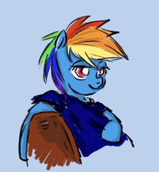 Size: 640x693 | Tagged: safe, artist:laya-21, character:rainbow dash, species:pegasus, species:pony, g4, blue background, clothing, female, lidded eyes, simple background, solo