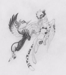 Size: 2518x2854 | Tagged: safe, artist:joestick, oc, oc only, species:griffon, g4, cute, griffon oc, looking at each other, looking at someone, monochrome, simple background, spread wings, traditional art, white background, wings